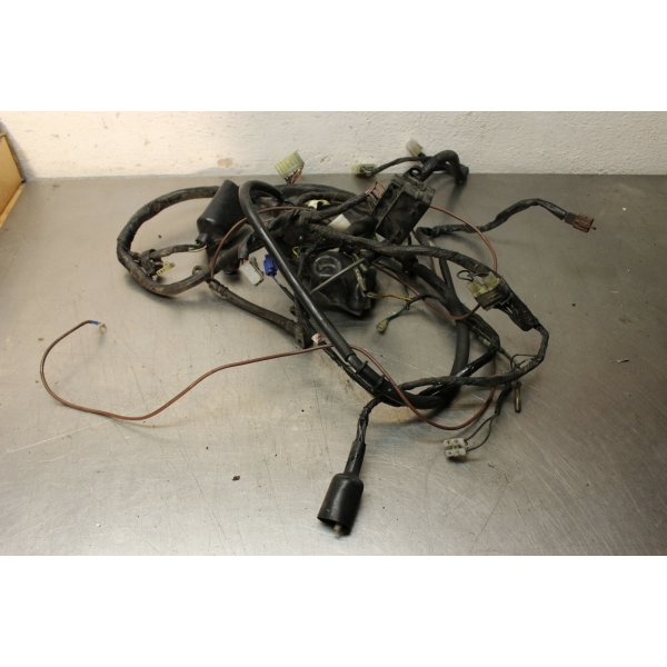 Yamaha TDM 850 4TX wiring harness C1/5