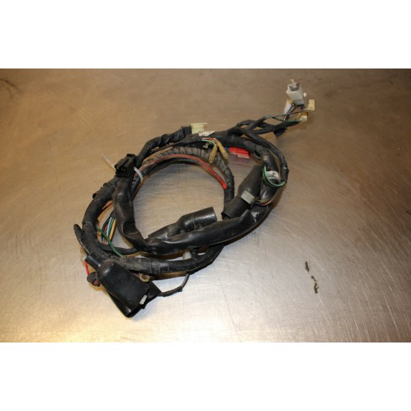 Daelim VT 125 Evolution wiring harness C5/3