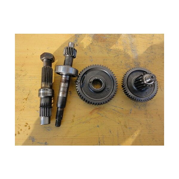 Rex Capriolo 50 gearbox