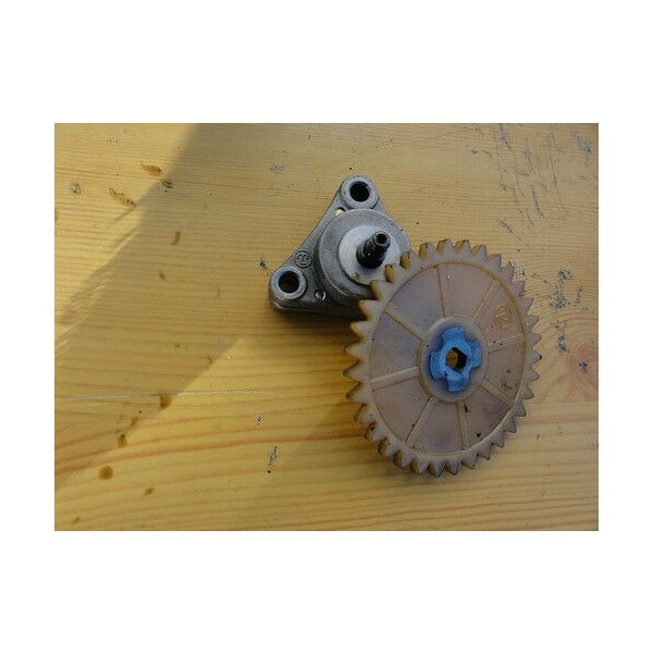 Rex Capriolo 50 oil pump + gear wheel